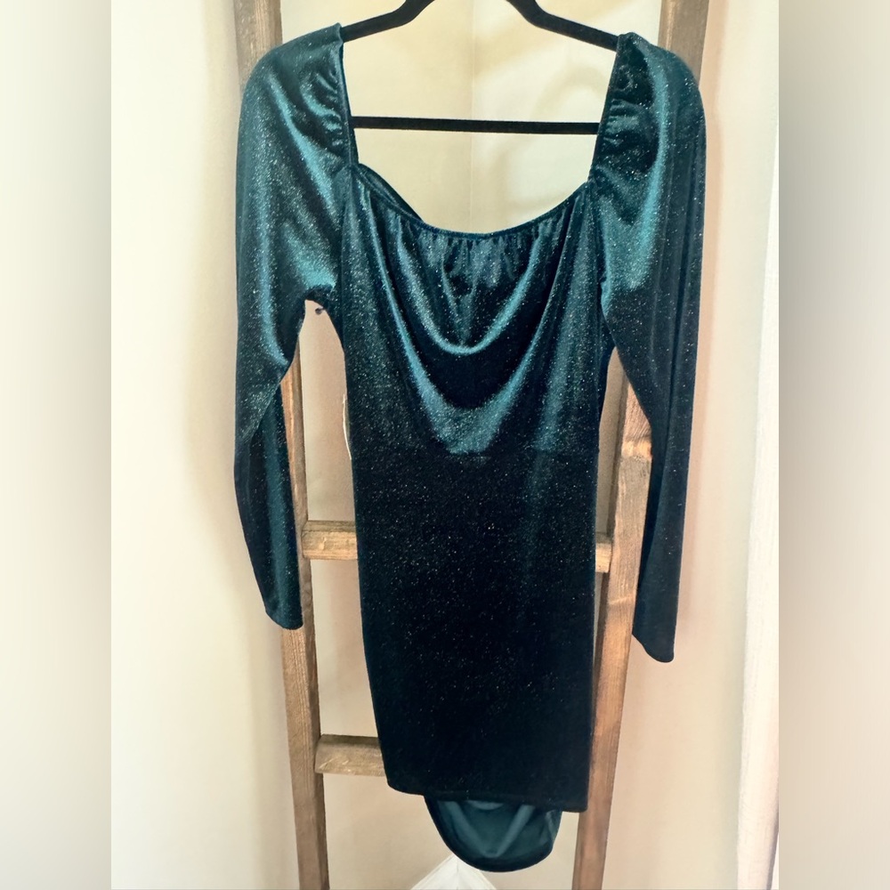NWT Altar'd State green velvet dress
